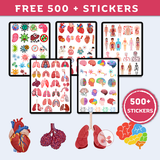 Stickers Anatomy & Physiology